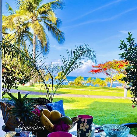 Acces Direct Plage, Vue Mer D'Exception, Les Gwada Studios, Village Vacances Sainte-Anne  Buitenkant foto
