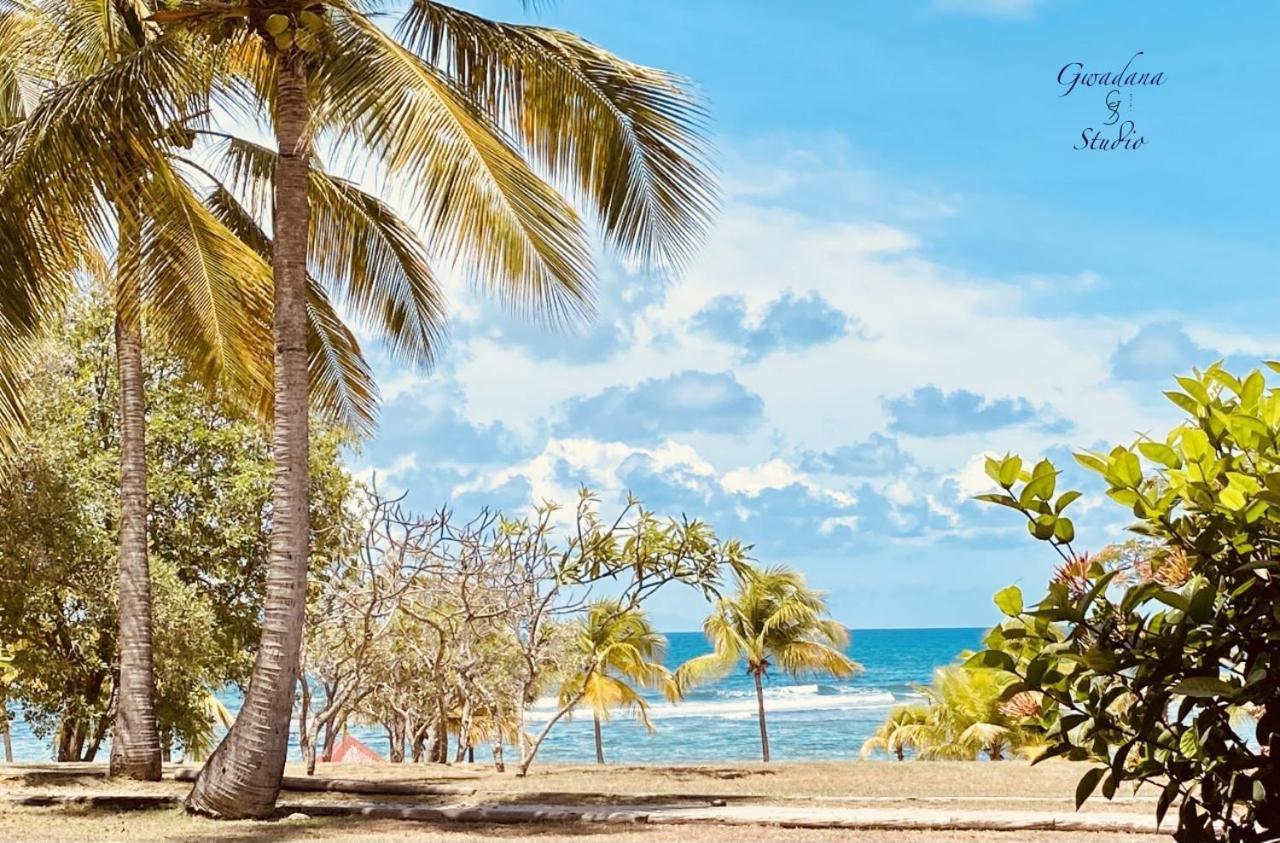 Acces Direct Plage, Vue Mer D'Exception, Les Gwada Studios, Village Vacances Sainte-Anne  Buitenkant foto