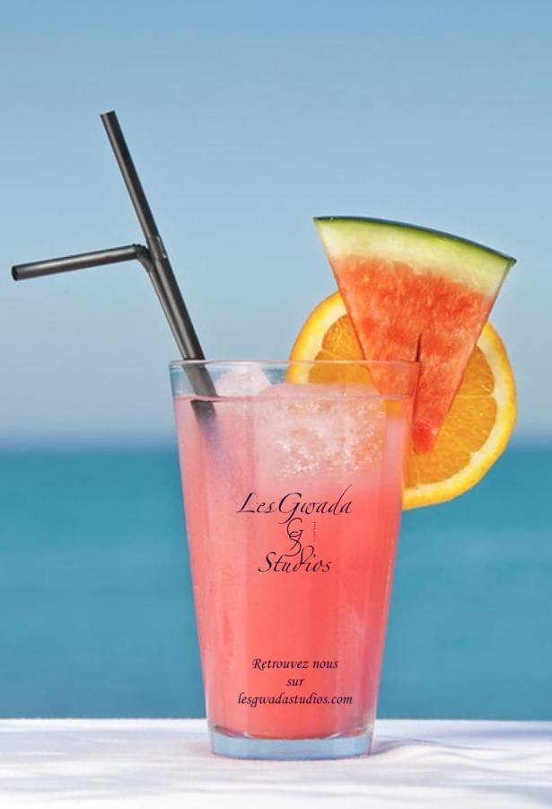 Acces Direct Plage, Vue Mer D'Exception, Les Gwada Studios, Village Vacances Sainte-Anne  Buitenkant foto