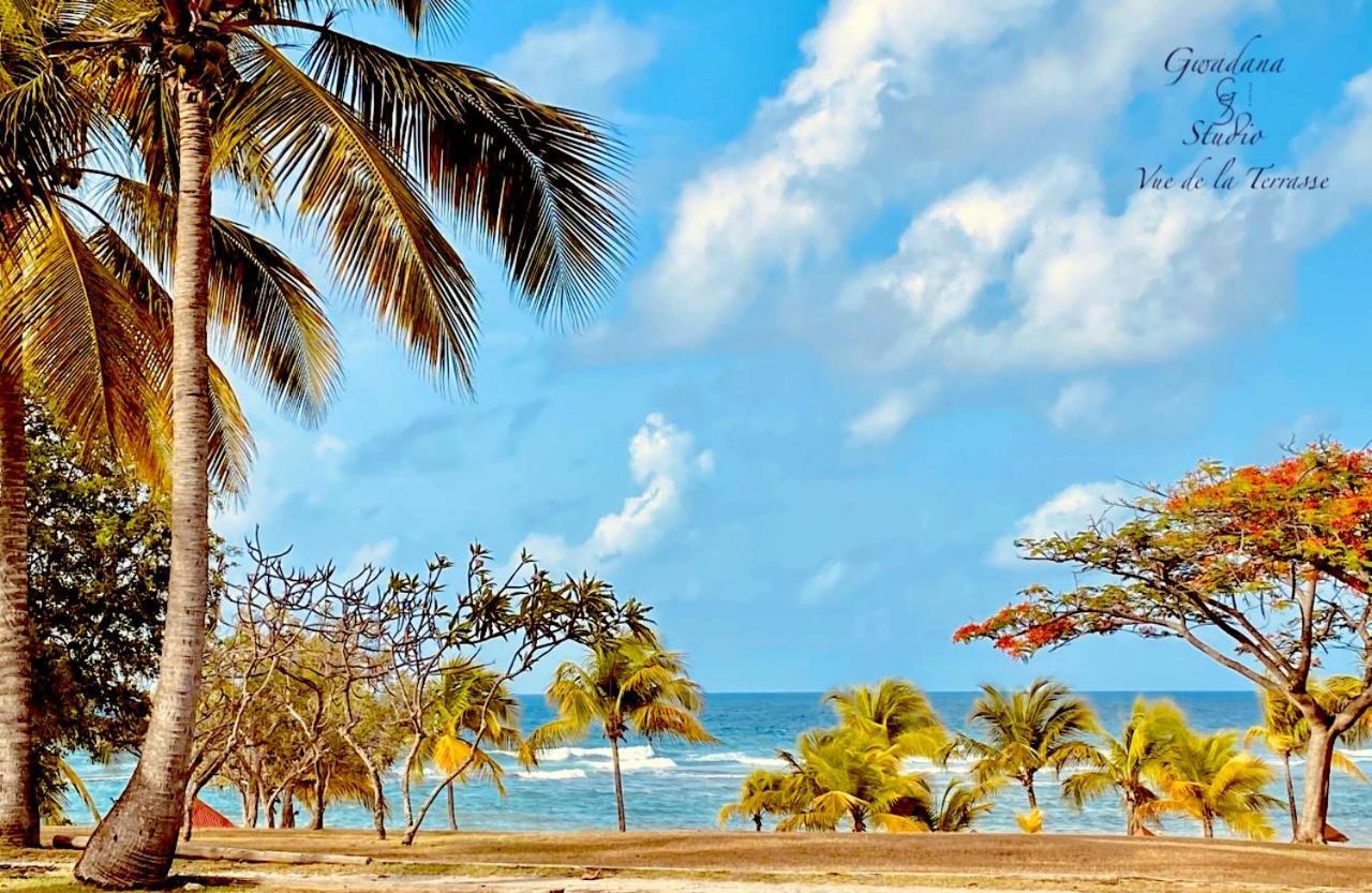Acces Direct Plage, Vue Mer D'Exception, Les Gwada Studios, Village Vacances Sainte-Anne  Buitenkant foto