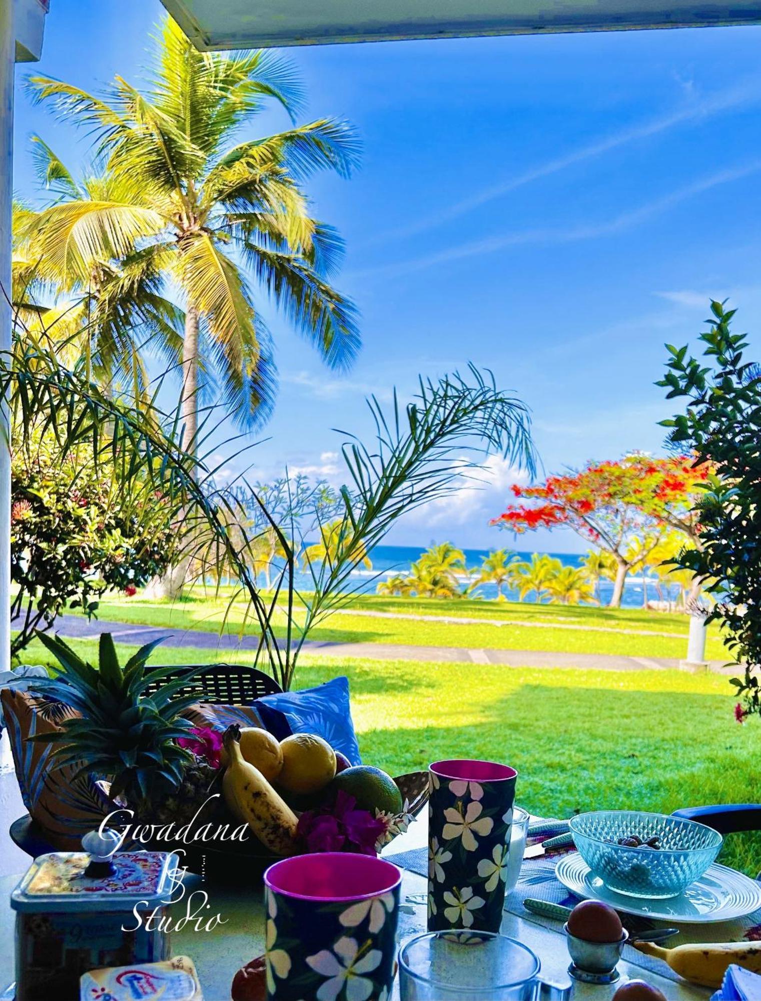 Acces Direct Plage, Vue Mer D'Exception, Les Gwada Studios, Village Vacances Sainte-Anne  Buitenkant foto
