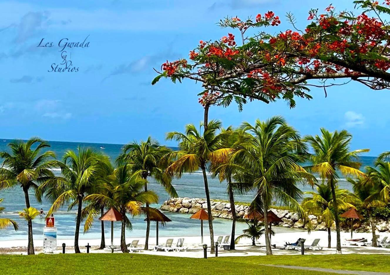 Acces Direct Plage, Vue Mer D'Exception, Les Gwada Studios, Village Vacances Sainte-Anne  Buitenkant foto